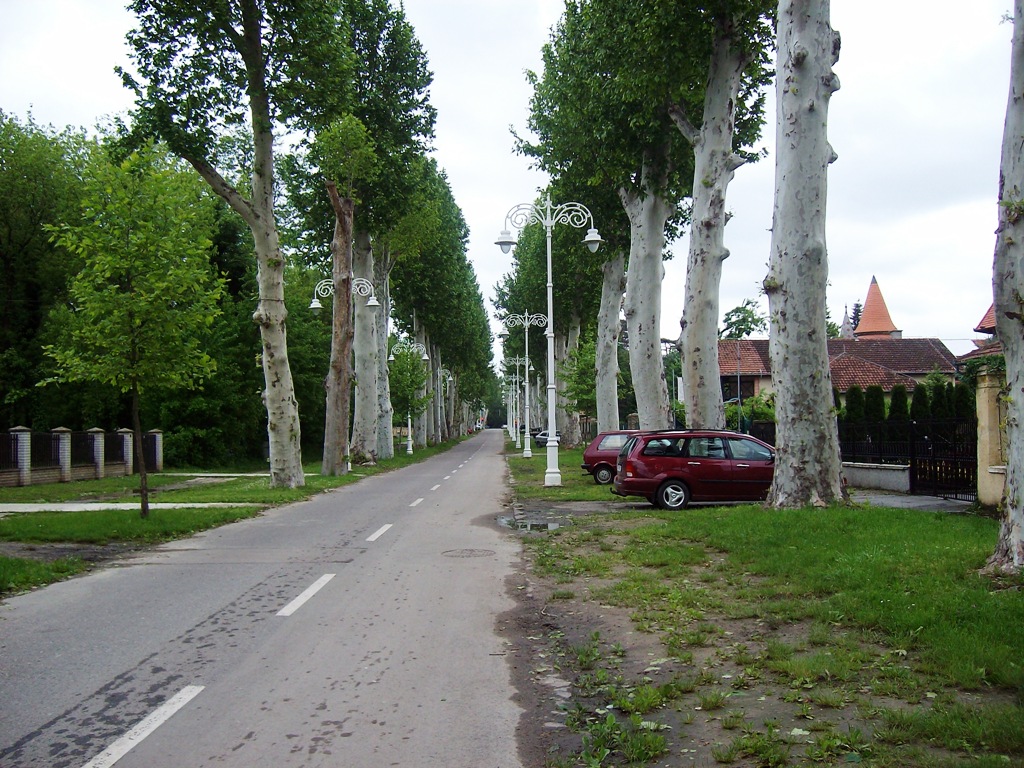 Palic